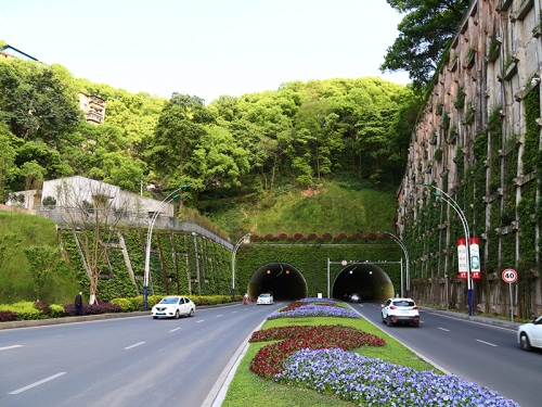 瀘州忠山隧道綠化工程